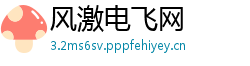 风激电飞网